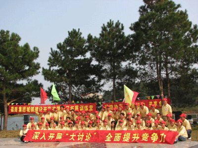 徽商集團城建房地產